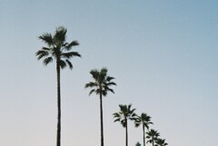 江の島をさんぽ_film ver.