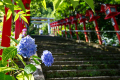 房総・勝浦に涼をもとめて②