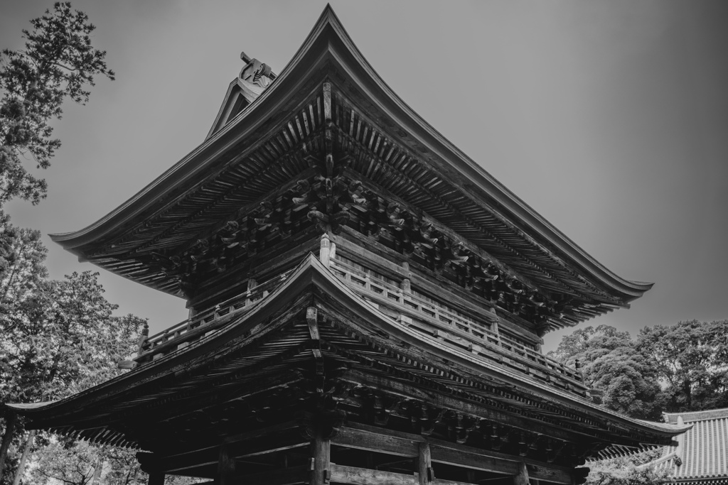 鎌倉散歩