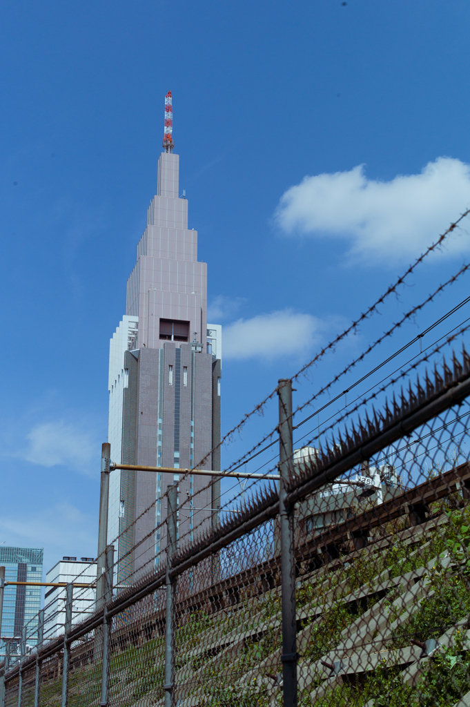 代々木を散歩①