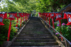 房総・勝浦に涼をもとめて①