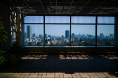 新宿の空中庭園②