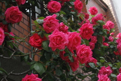 F25A745C-8194-4C1E-BAC4-68F02766632D