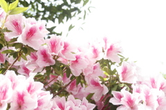 3D46BD3E-89CB-4427-912B-445F57D7D22C