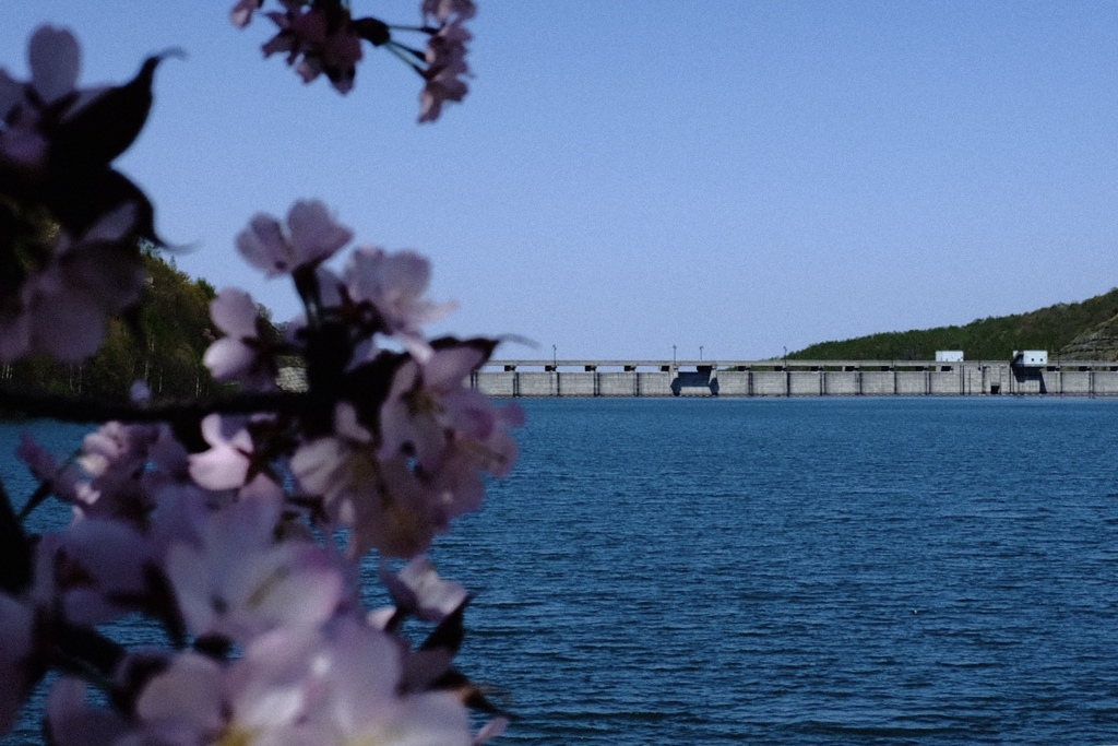朝里ダム湖