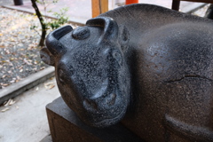 撫で牛