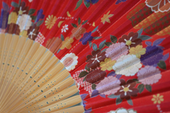 EXPO2025 飯田グループ×大阪公立大学