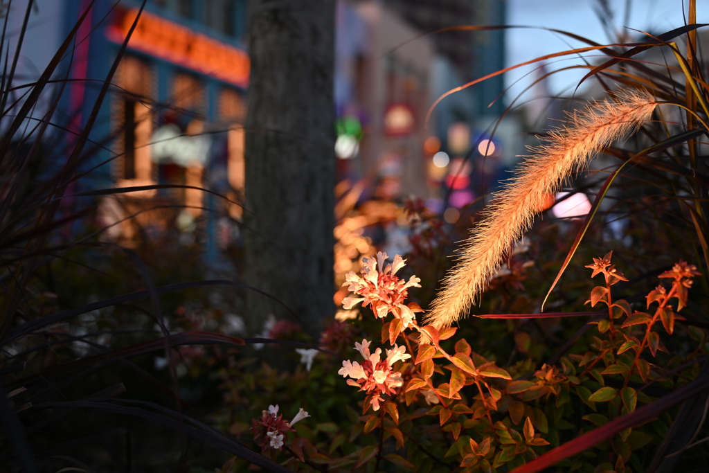 USJ