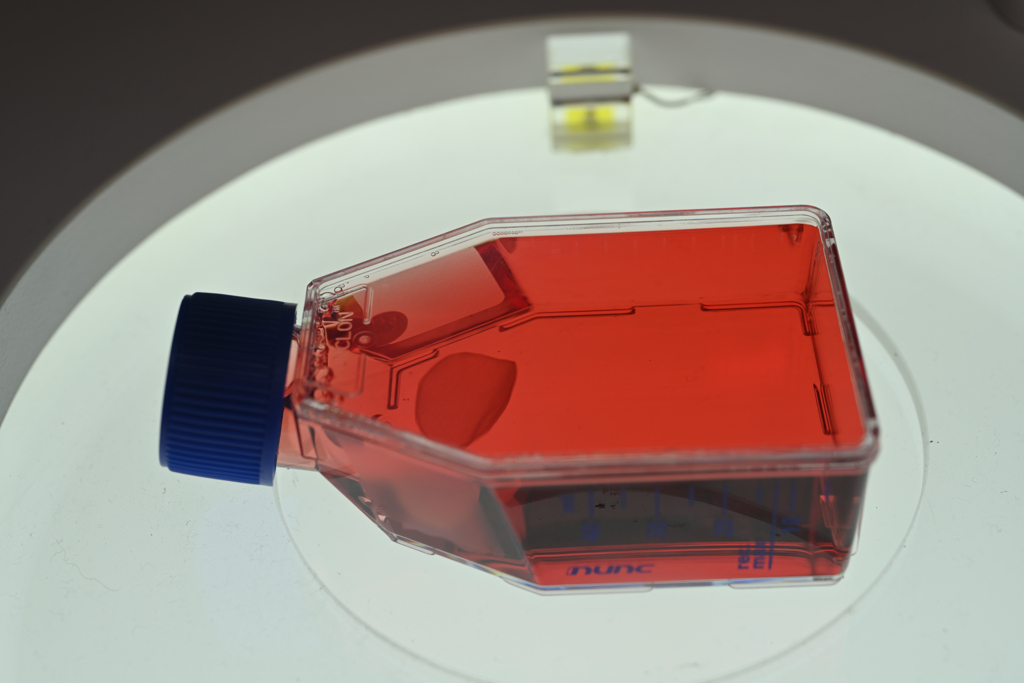 EXPO2025 Osaka Healthcare