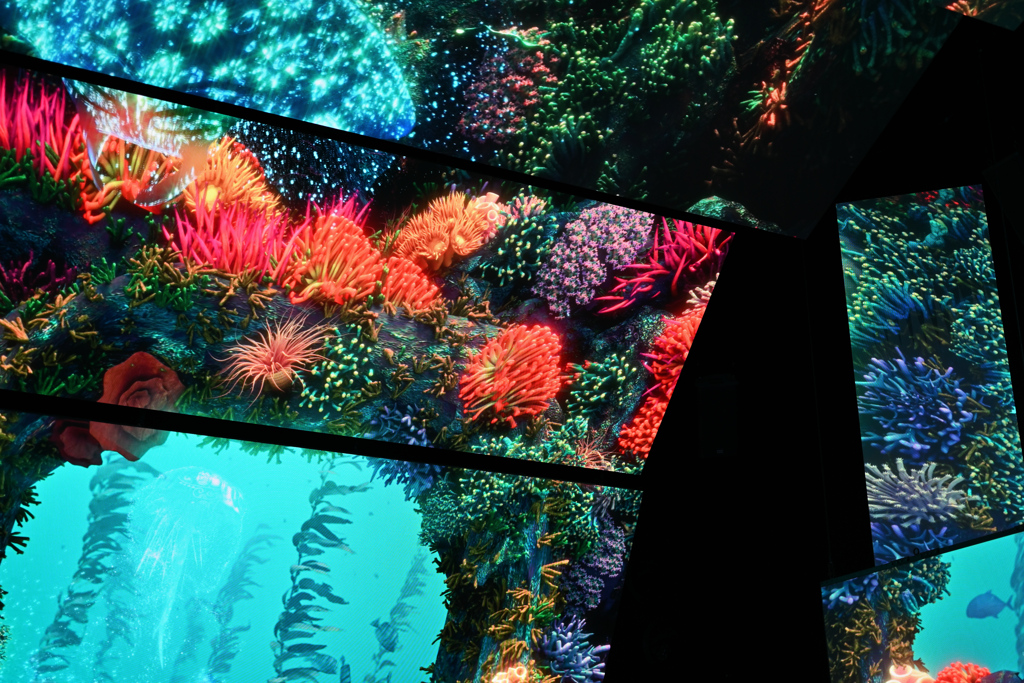 EXPO2025 オーストラリア