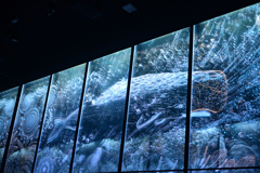 EXPO2025 オマーン