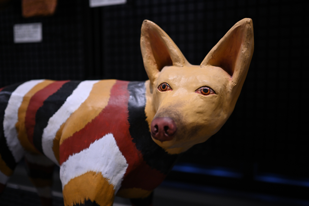 国立民族学博物館