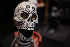 国立民族学博物館