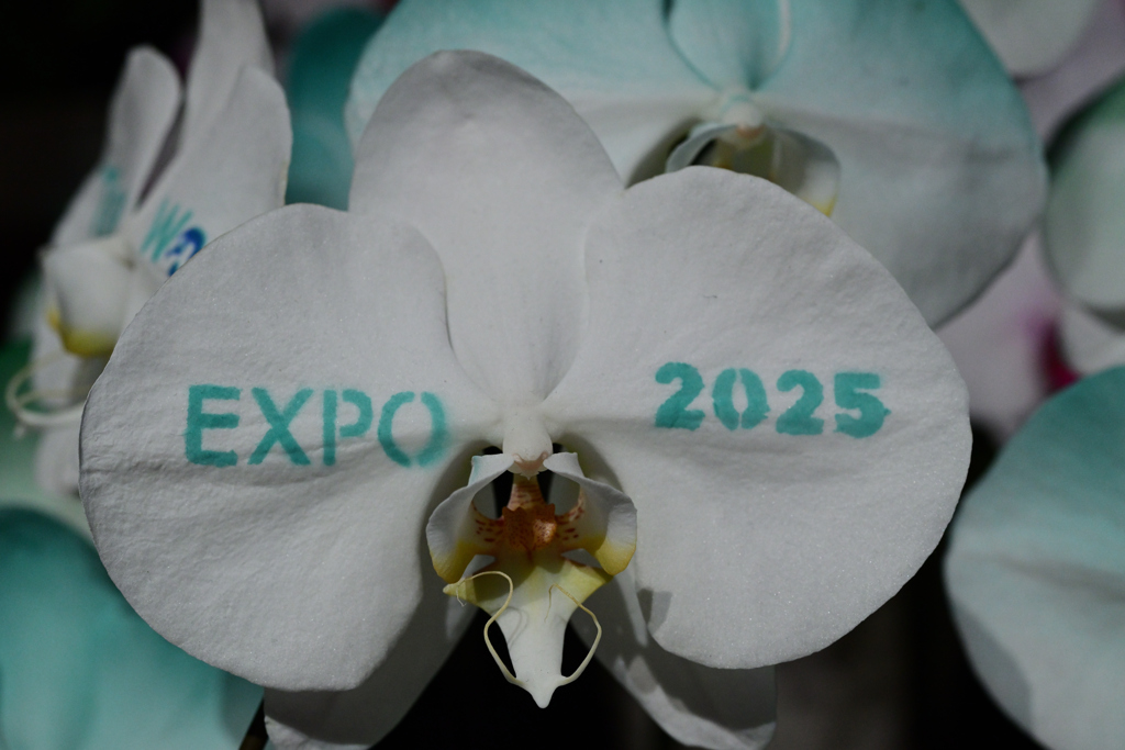 EXPO2025 TECH WORLD