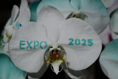 EXPO2025 TECH WORLD
