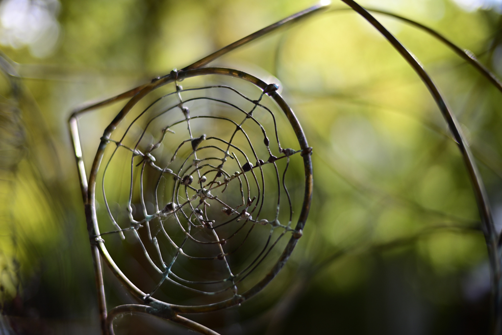 蜘蛛の巣(ループ)