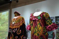 EXPO2025 カメルーン