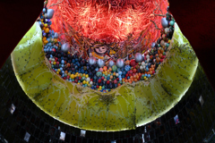 EXPO2025 PASONA NATUREVERSE