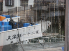 漁港
