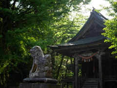 社