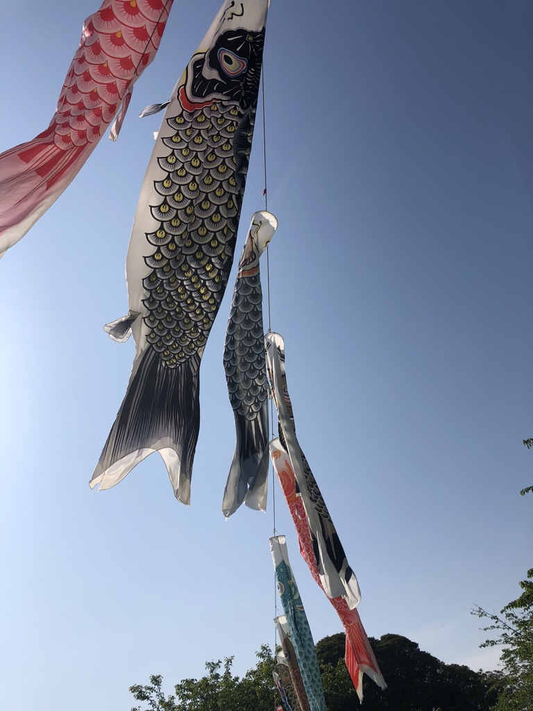 鯉のぼり2@城山公園