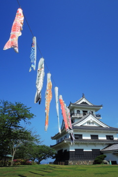 鯉のぼり@城山公園