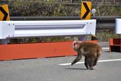 2BA833F8-A7A5-4E71-A710-BF1C60908F04