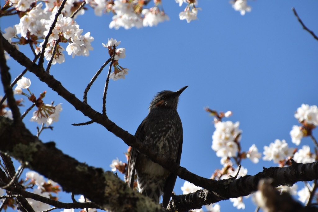 0A26FF80-7BD4-4D66-B536-9350F6AFD569