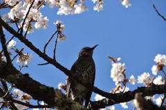 0A26FF80-7BD4-4D66-B536-9350F6AFD569