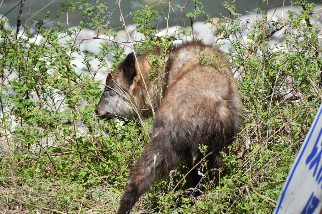 9D0272AB-C03B-4B3D-B63B-981FD6625E72