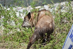 9D0272AB-C03B-4B3D-B63B-981FD6625E72