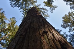 469AC423-D2B4-45DE-96FE-B25122447B22