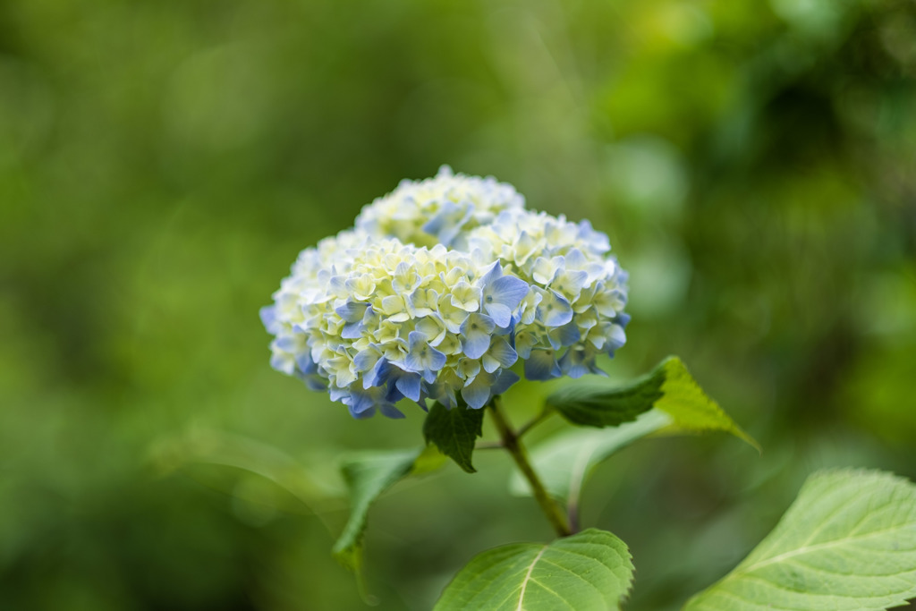 LRM_EXPORT_30249972791843_20190602_23580