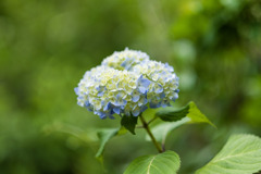 LRM_EXPORT_30249972791843_20190602_23580