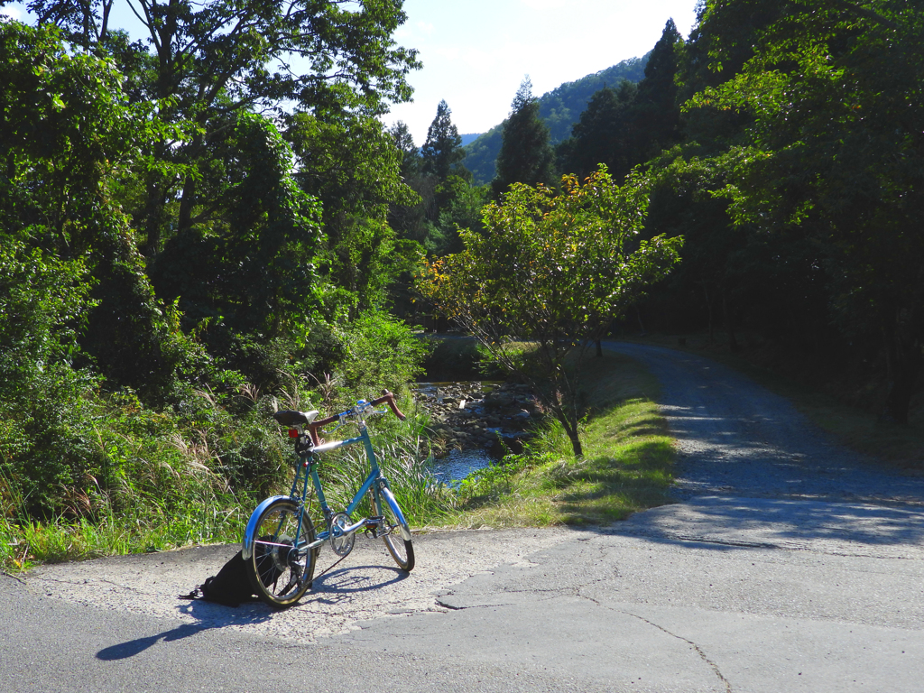 サイクリング日和