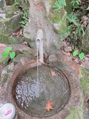 小さい秋