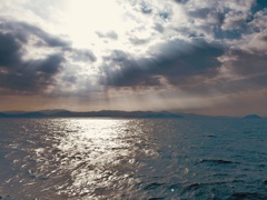 9B50C8DA-0CC7-4389-B372-F5BC367B30B8