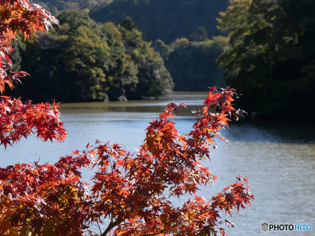 湖畔の紅葉