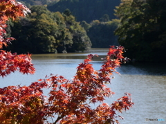 湖畔の紅葉