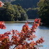湖畔の紅葉