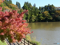 つりびとを探せ