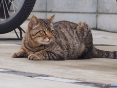 静かな休日