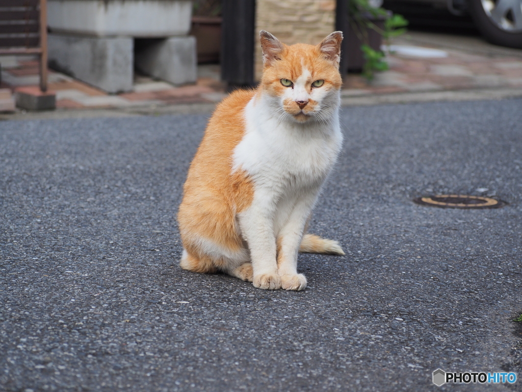 とりあえず、なんかくれ