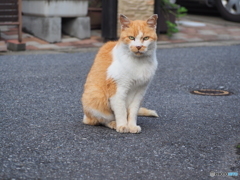 とりあえず、なんかくれ