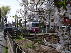 ありがとう新京成