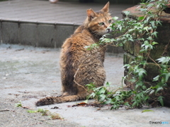 雨が上がりましたねぇ