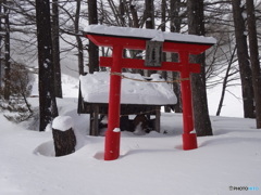 雪中詣で