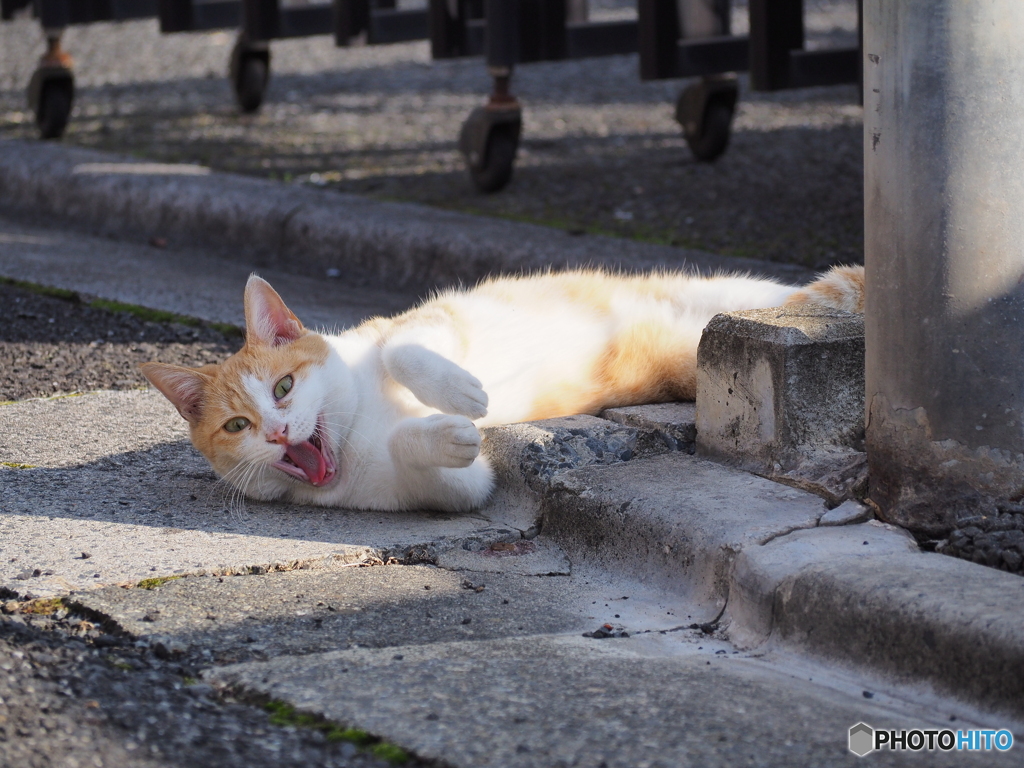 おばけだぞー