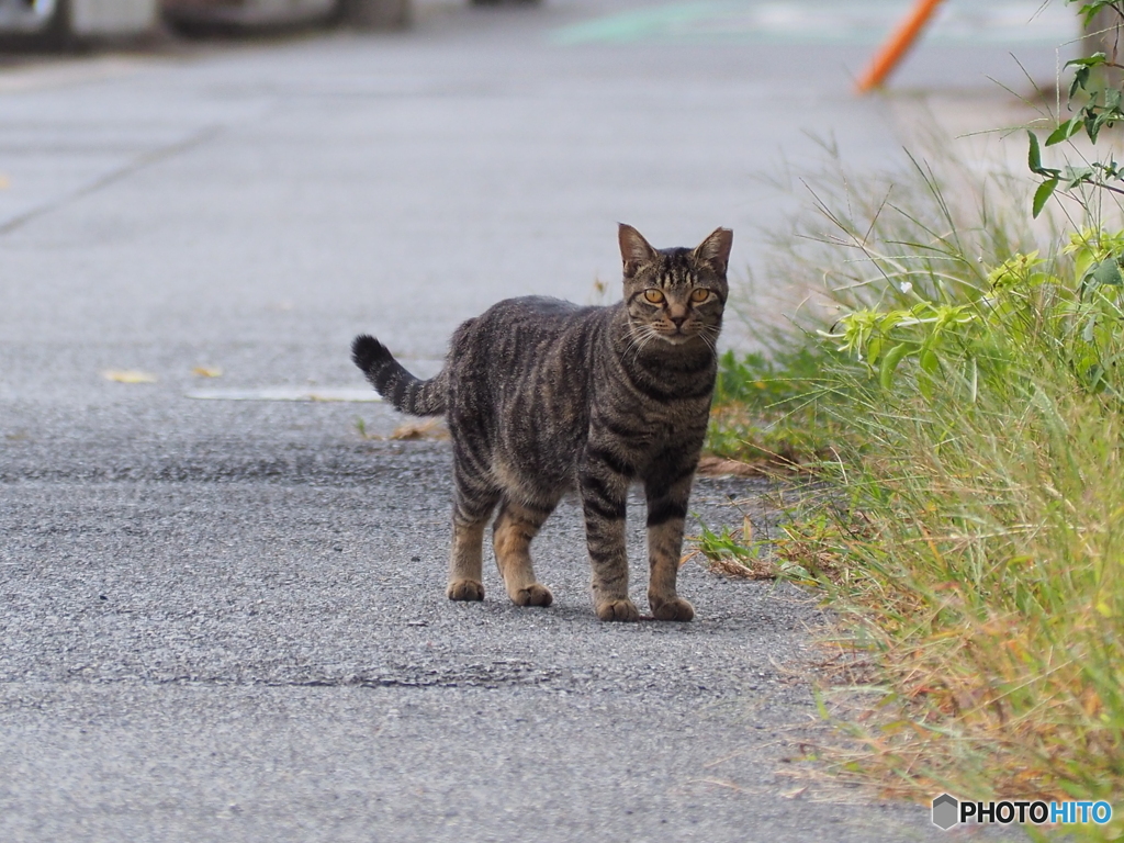 今、撮ったでしょ