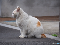 夜遊びが過ぎた朝